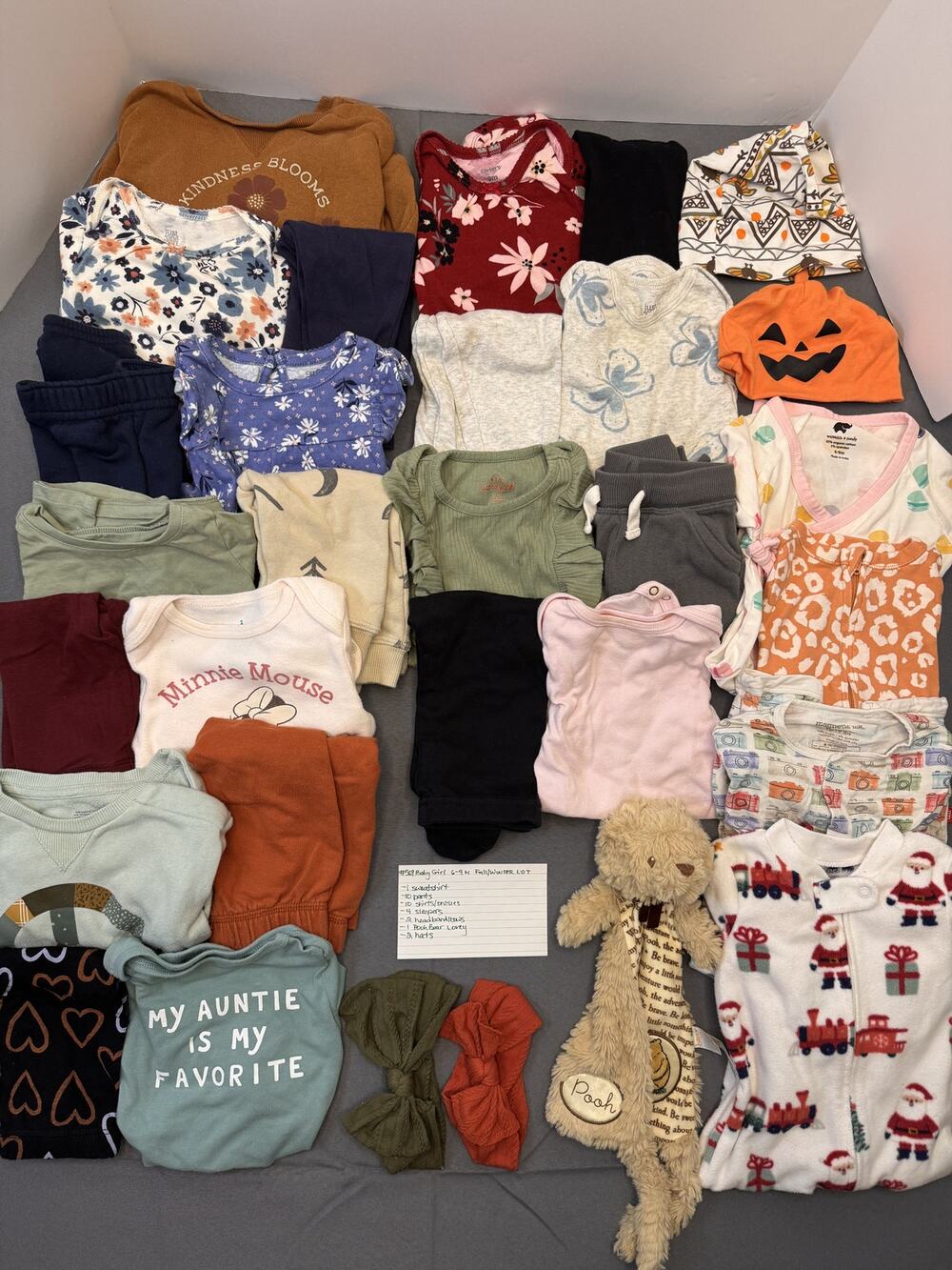 Baby Girl 6-9M Fall/Winter Clothing Lot - Large Mix & Match Bundle #569